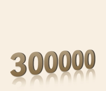 30万回のフラッシュサイクル